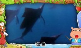 旗鱼在线观看,揭秘深海猎手的神秘世界