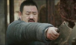 蟑居在线观看,揭秘都市蟑螂生存秘境